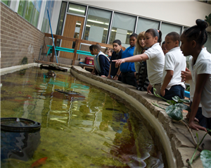 Science Education 